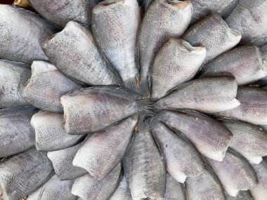 Güneşte kurutulmuş yılan derisi balığı, seçici odak noktası. Yılan derisi gourami (Trichogaster pectoralis)