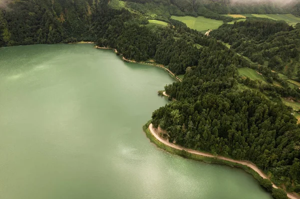 緑豊かな森に囲まれた穏やかな湖 — ストック写真
