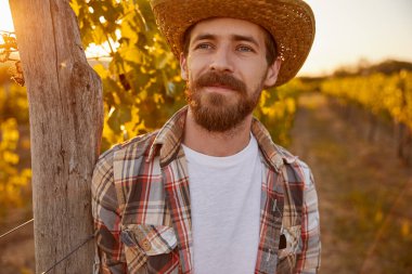 Üzüm asmalarının yanında sakallı çiftçi.