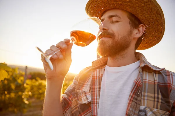 Enólogo com copo de vinho na vinha — Fotografia de Stock
