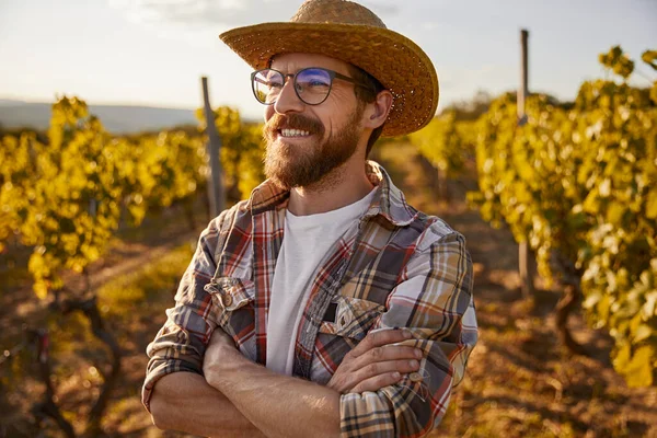 Bodeguero varón de confianza en el viñedo —  Fotos de Stock