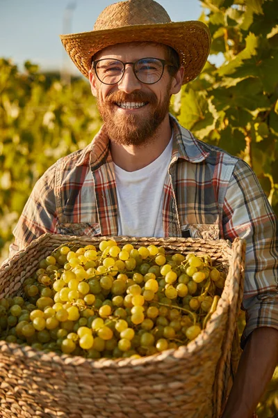 Agricultor masculino alegre com uvas — Fotografia de Stock
