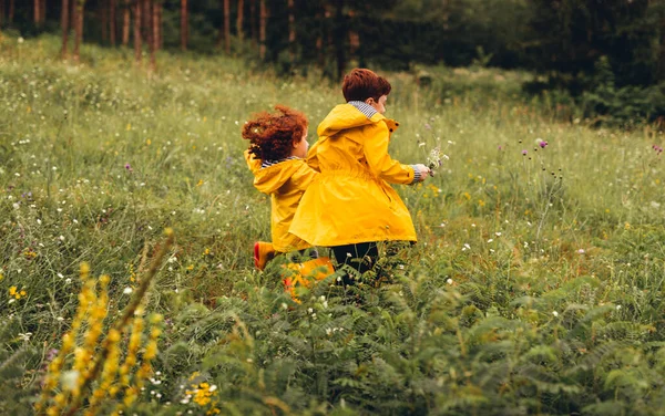 Doğada koşan kızıl saçlı çocuklar. — Stok fotoğraf