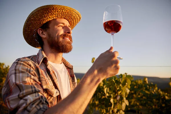 Happy winemaker with glass of wine in vineyard — Stock Photo, Image