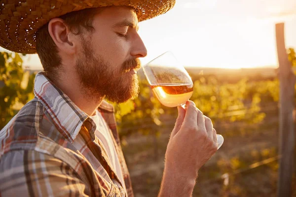 Enologist digestating wine on farm — Stock Photo, Image