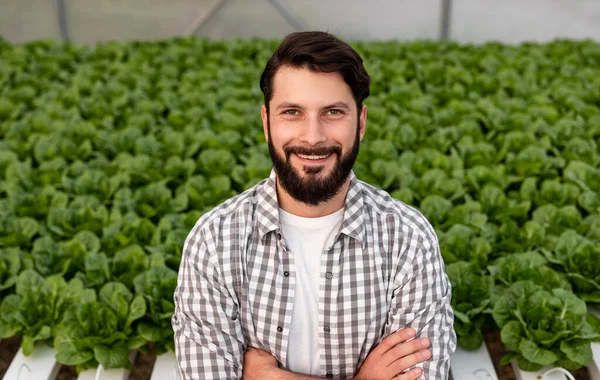 Alegre emprendedor en invernadero con plantas —  Fotos de Stock