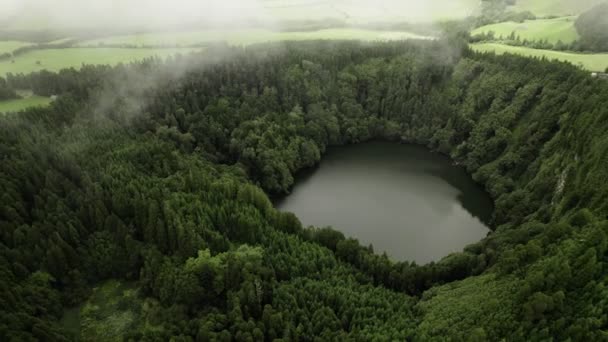 Lake surrounded with lush forest — Stockvideo