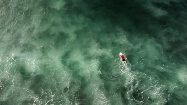 A hullámokon evező szörfös tetejére — Stock videók