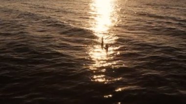 Gün batımında okyanusta dinlenen sörfçülerin silueti..