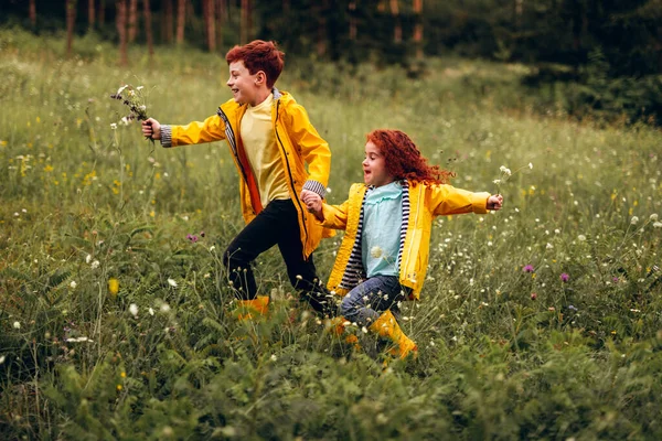 Ingefära syskon springer i fält tillsammans — Stockfoto