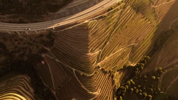 Luchtfoto van terrasvormige wijngaarden in Douro Valley — Stockvideo