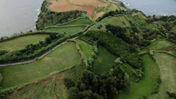 Groene landschappen op het eiland Sao Miguel, Azoren, Portugal — Stockvideo