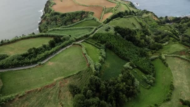 Gröna landskap på Sao Miguel ön, Azorerna, Portugal — Stockvideo