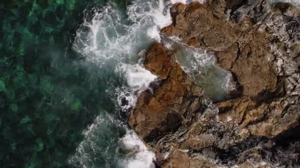 Vagues se brisant sur la côte atlantique des Açores. — Video