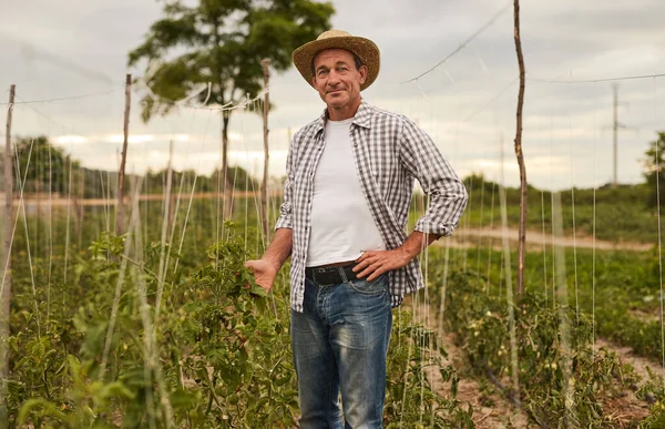 Maduro jardineiro masculino na fazenda — Fotografia de Stock