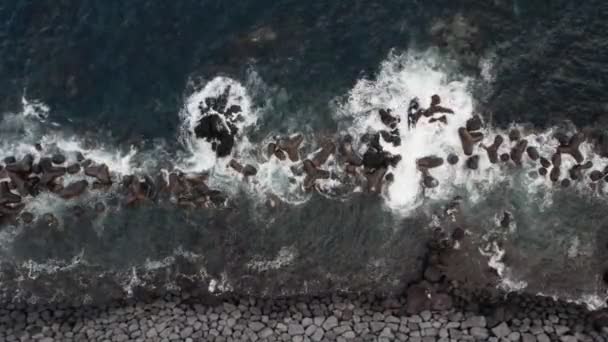 Kamienna plaża i fale rozbijające się o wielkie skały wulkaniczne — Wideo stockowe