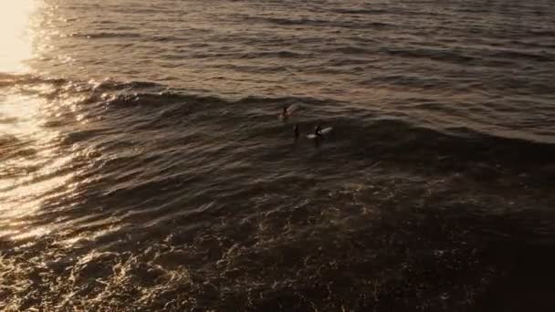 Группа серферов отдыхает в океане вместе. — стоковое видео