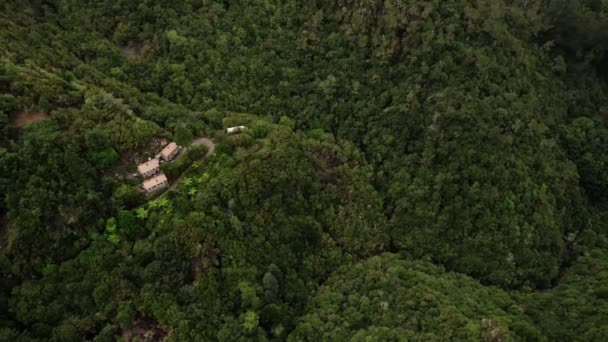 Vista aérea de casas remotas na exuberante floresta da Madeira — Vídeo de Stock