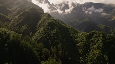 Portekiz, Madeira Adası 'nda yeşil tropikal orman.