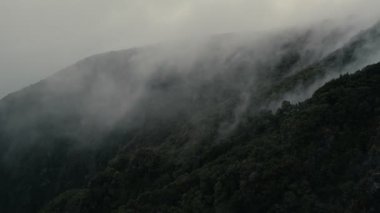 Fanal 'da orman dağları üzerinde hareket eden bulutlar