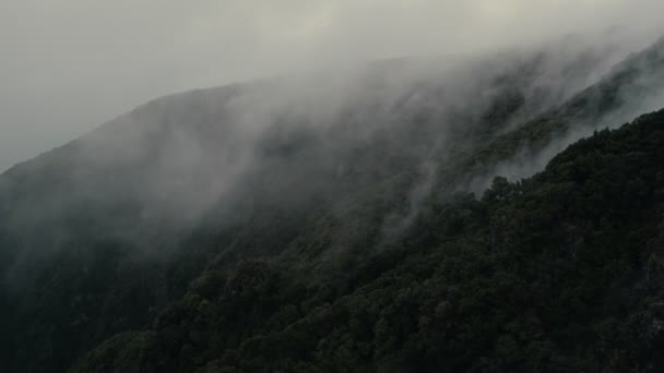 Wolken ziehen über die Waldberge in Fanal — Stockvideo