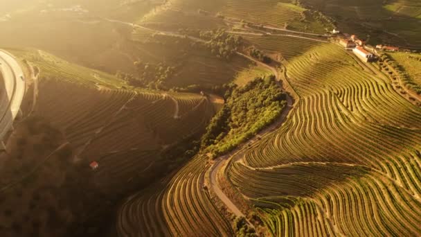 Uitzicht vanuit de lucht op de vallei van de Douro rivier met wijngaarden — Stockvideo