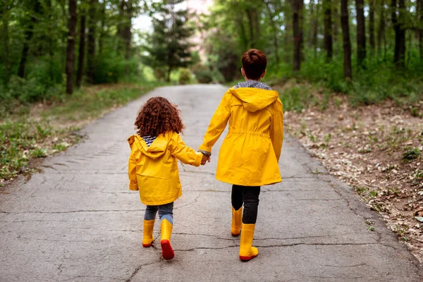 Kızıl saçlı kardeşler ormanda birlikte yürüyorlar.