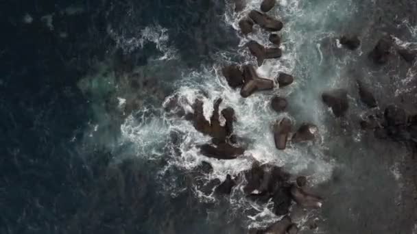 Veduta aerea delle onde che si infrangono sui frangiflutti — Video Stock