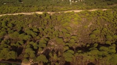 Setubal, Portekiz Ormanı 'nın yukarısında