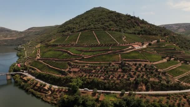 Wijngaarden in de buurt van Pinhao, Portugal — Stockvideo