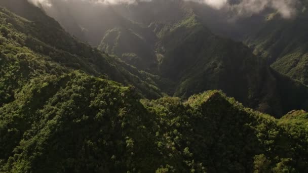 Letecký tropický les na ostrově Madeira, Portugalsko. — Stock video