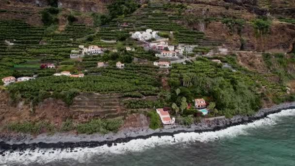 Plantação de bananas na costa da ilha da Madeira — Vídeo de Stock