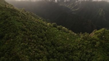 Madeira 'da bulutların altındaki tepelerde yemyeşil yemyeşil yemyeşil