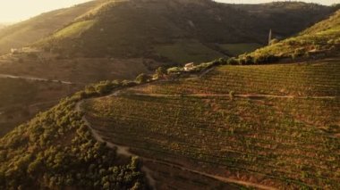Douro Vadisi 'nde günbatımında tepedeki üzüm bağı çiftliği