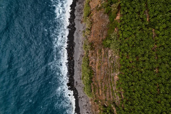 Praia rochosa entre mar e floresta verde — Fotografia de Stock