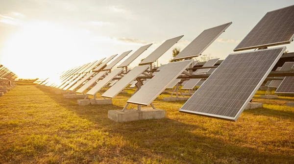 Solcellspaneler på solfångargård vid solnedgången — Stockfoto