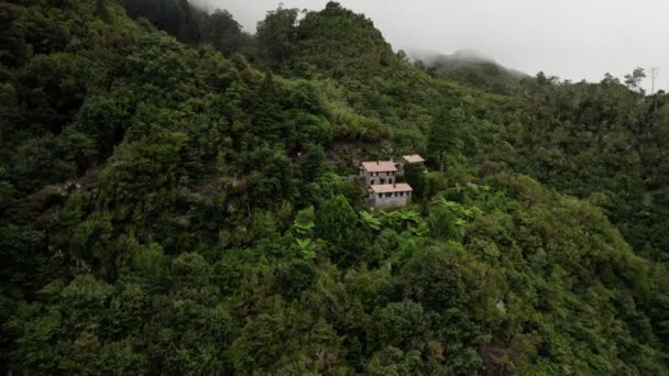 Domy na odludziu położone w zielonych lasach górskich — Wideo stockowe
