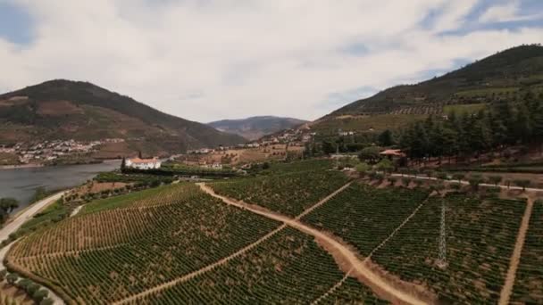 Повітряний вогонь по виноградниках долини Доро. — стокове відео