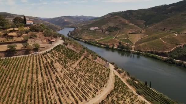 Luchtopname van het wijngebied van Douro — Stockvideo