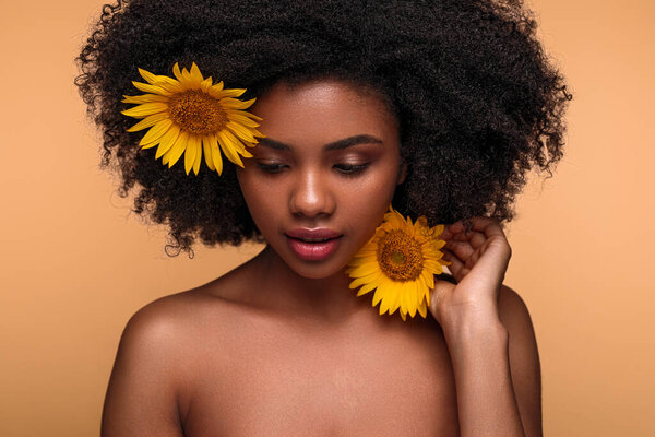 African American female with bare shoulders and curly hair touching face with fresh sunflower and looking down against brown background