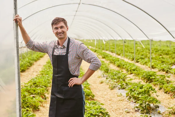 셔츠와 앞치마를 미소를 카메라를 바라보면서 농장에서 여름날넓은 입구에서 소기업 — 스톡 사진