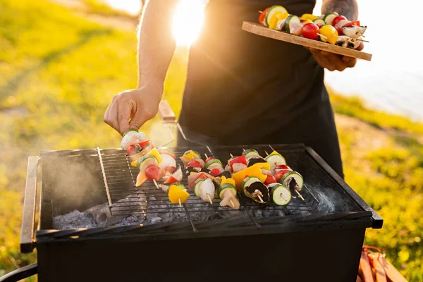 Güneşli Yaz Günü Piknik Için Yemek Pişirirken Taze Sebze Tavuk — Stok fotoğraf