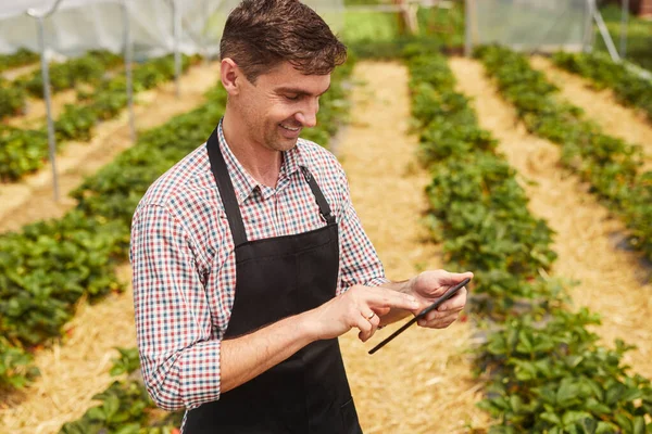 셔츠와 앞치마를 긍정적 온실에서 일하는 태블릿에서 사용하여 식물의 성장을 확인하면서 — 스톡 사진