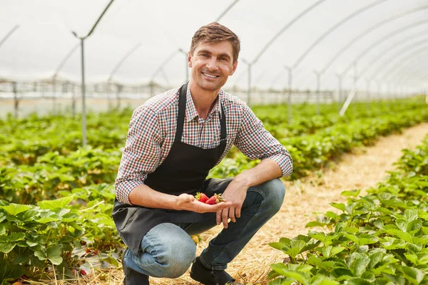 Agricultor Masculino Adulto Positivo Camisa Quadriculada Avental Sorrindo Olhando Para — Fotografia de Stock