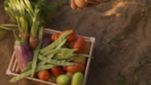 Feche Acima Tiro Mãos Masculinas Que Mantêm Ovos Frescos Agricultor — Vídeo de Stock