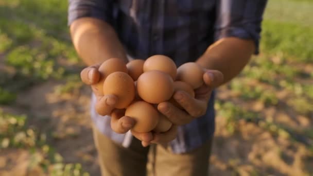 Closeup Unrecognizable Male Farmer Holding Hands Many Eggs Farm — Vídeos de Stock