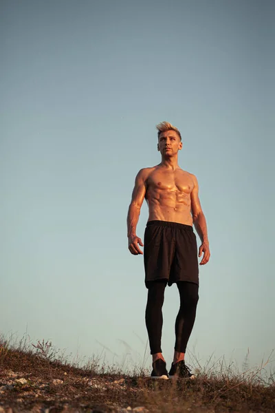 Low angle full body of serious muscular male athlete with naked torso, standing on mountain peak against cloudless blue sky and looking away after workout at sunset