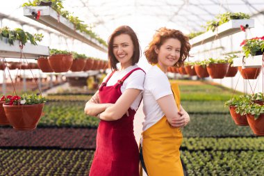 Serada çiçeklerle büyüyen ve kameraya bakan küçük işletmelerin neşeli bayan sahiplerinin yan görüntüsü