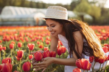 Beyaz elbiseli ve şapkalı mutlu bir kadın güneşli bahar gününde tarlada vakit geçirirken kırmızı lalelerin kokusuna dokunuyor ve eğleniyor.