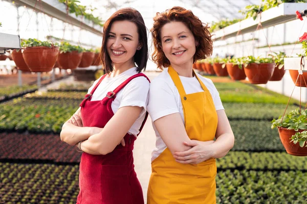 Gardeners Fêmeas Novas Positivas Com Shirts Brancas Aventais Vermelhos Amarelos — Fotografia de Stock